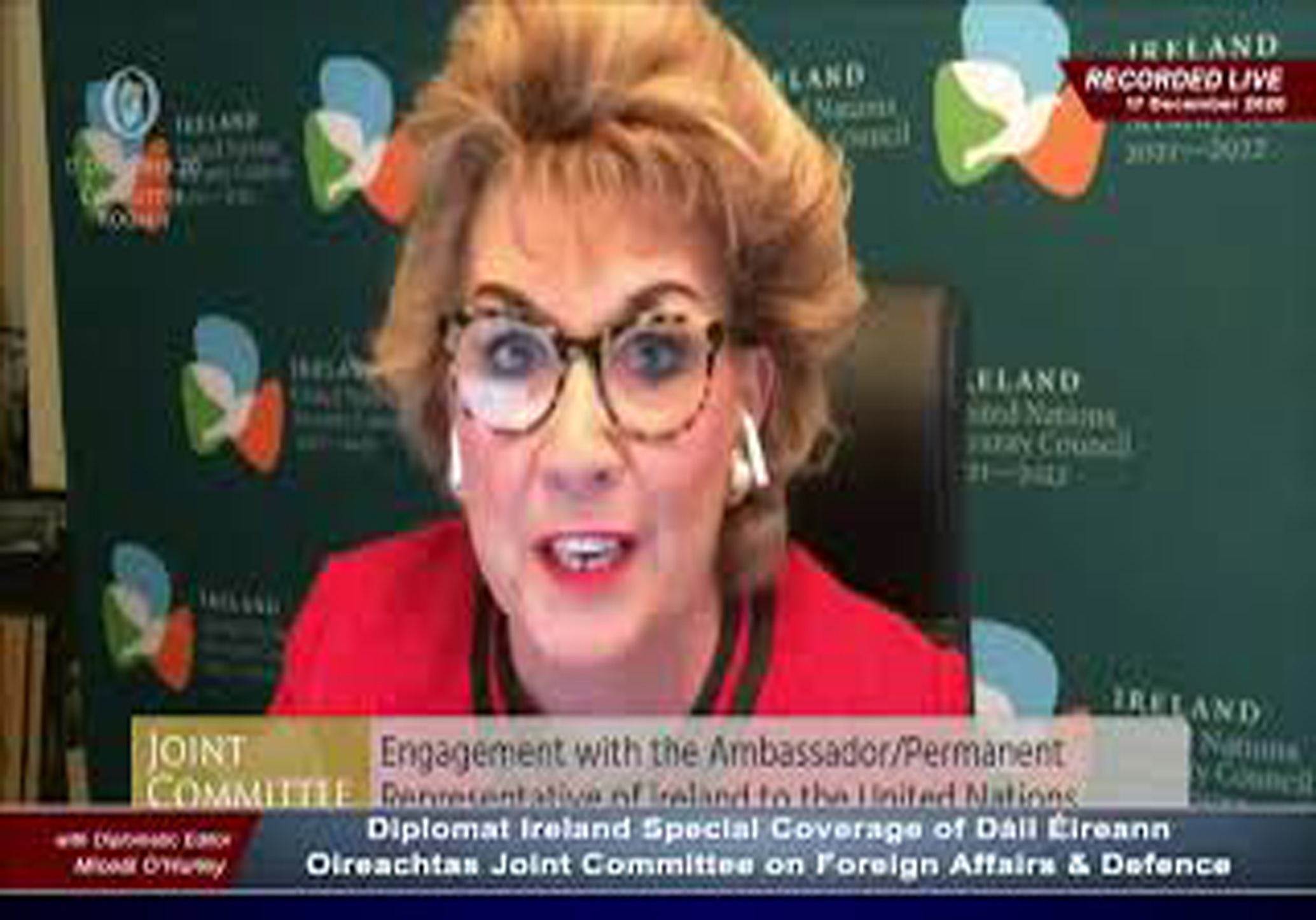 Ambassador Geraldine Byrne Nason, Ireland’s Representative to the UN, Testifies to Oireachtas Committee