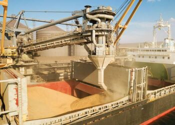 Putin’s Offering Cheap Grain, Wholesale Oil – But at What Real Costs?