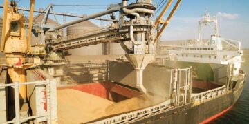 Putin’s Offering Cheap Grain, Wholesale Oil – But at What Real Costs?