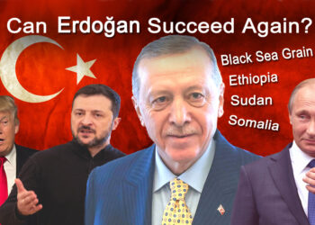 Erdoğan Signals Openess to Broker Ukraine-Russian Peace Deal